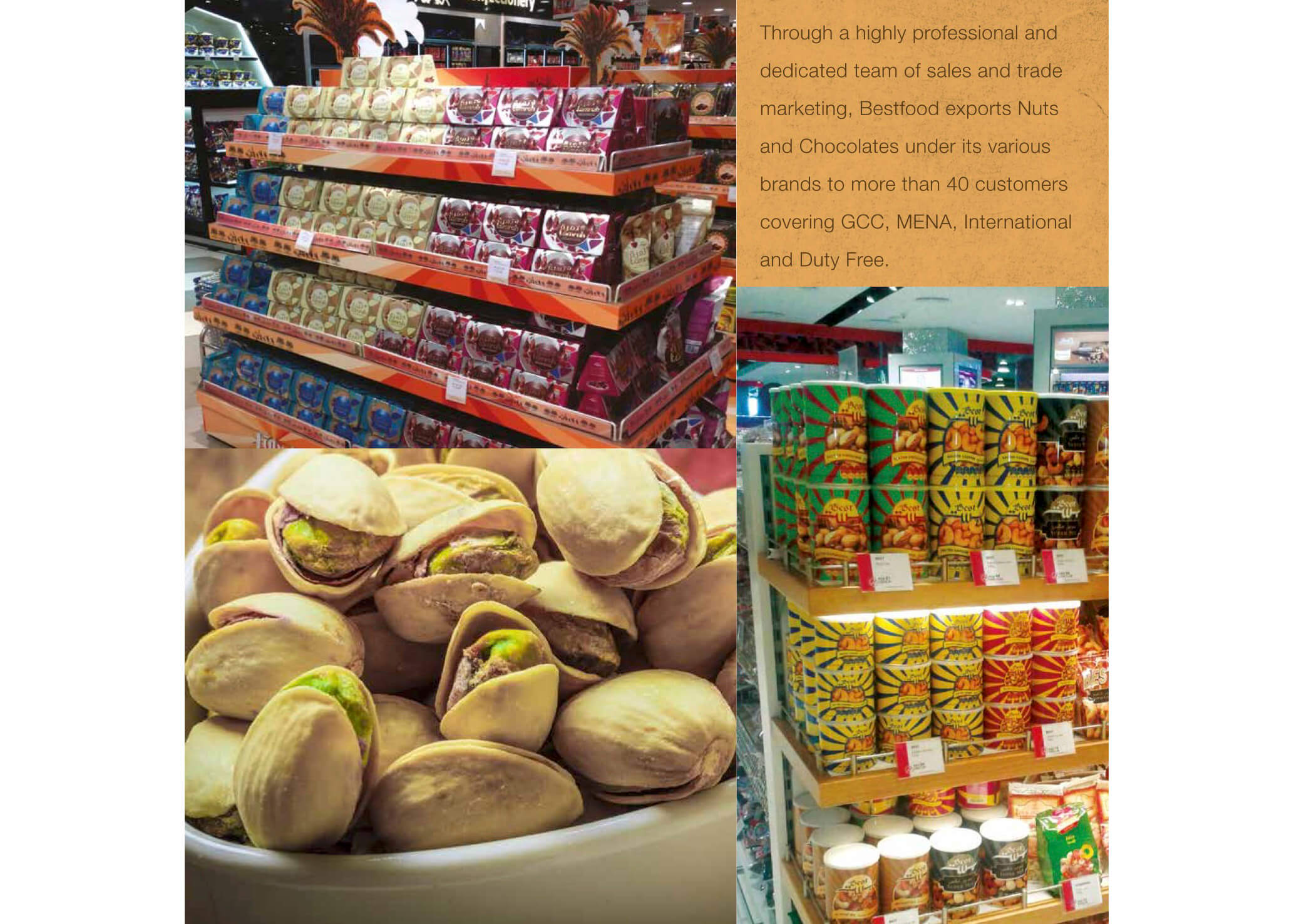 Best Food Company Best Food Company Corporate Ebrochures